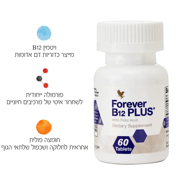 ⁦פוראוור B12 פלוס⁩ – תמונה ⁦2⁩