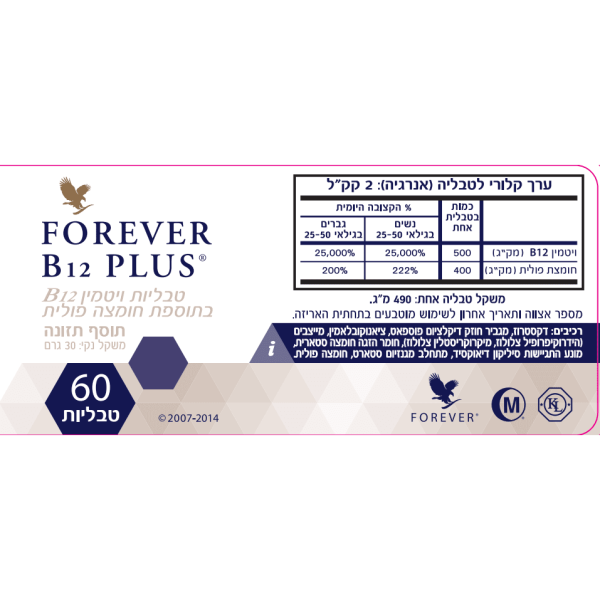 ⁦פוראוור B12 פלוס⁩ – תמונה ⁦3⁩