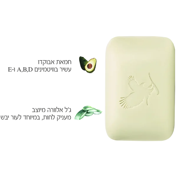 ⁦סבון אבוקדו⁩ – תמונה ⁦2⁩